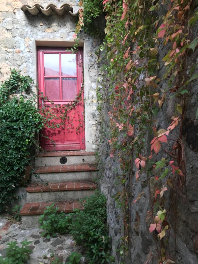 La Calade 1 Bedroom Studio - Biot Village Εξωτερικό φωτογραφία